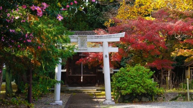 乙訓寺(おとくにでら)